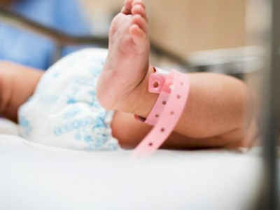 Recém-nascido morre após ser pisoteado em Santa Catarina