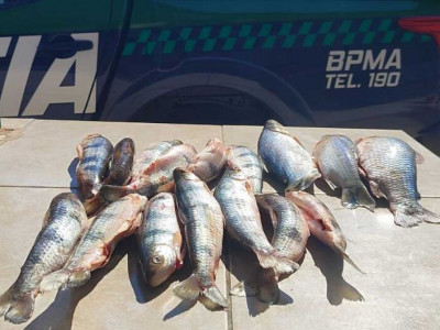 Homem é levado delegacia com pescado acima da cota permitida