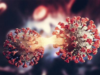 Covid-19 mata quatro por semana em Mato Grosso do Sul