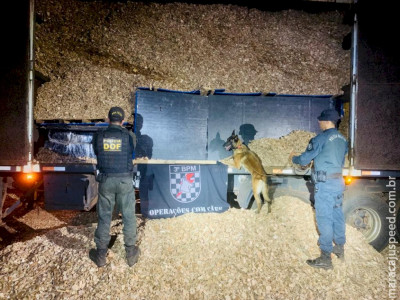 DOF apreende mais de cinco toneladas de drogas na MS-156 em Caarapó