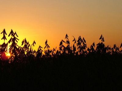 El Niño pode durar pelo menos até abril de 2024, estima ONU