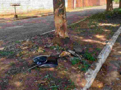 Jovem morre em acidente de carro após veículo bater em árvore