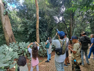 Rota Pantanal Bonito promove a observação de aves no feriado