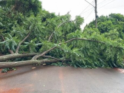 Temporal deixa rastro de destruição em Nova Alvorada do Sul 