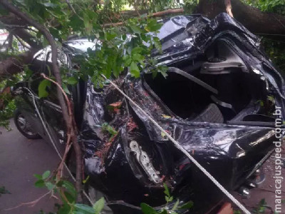Árvore cai em cima de veículo e deixa condutor preso