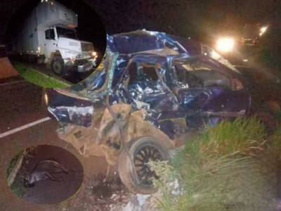 Família morre ao bater carro em caminhão na BR-262, em Ribas do Rio Pardo