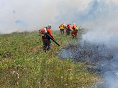 Fazenda que espalhou fogo em 69 imóveis no Pantanal da Nhecolândia é multada em R$ 19 milhões