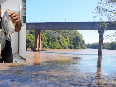 Gerente de supermercado cai de ponte e morre em Aquidauana