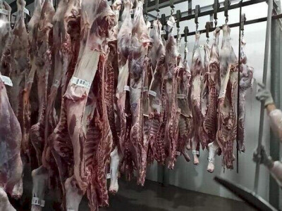 Número de abates de gado e aves cai, enquanto os de suínos crescem em Mato Grosso do Sul