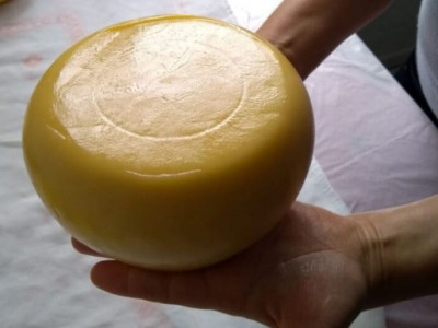 Seminário discute políticas públicas para o queijo artesanal