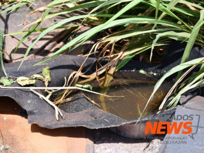 Ano começa com duas mortes por dengue sob investigação em MS
