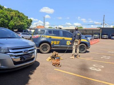 Com a ajuda de "Zorro", homem é preso com cocaína em MS