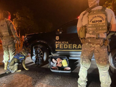 Com auxílio de cachorros, PRF prende traficante em Corumbá