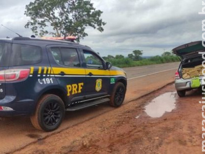 Homem é preso com carga de maconha e ampolas de testosterona