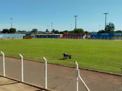 Ministério Público libera quatro estádios na véspera do Estadual 2024