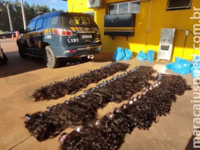 PRF apreende 62 kg de cabelo humano em Brasilândia 