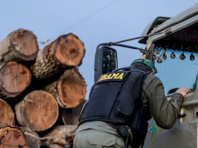 Servidores do Ibama prometem suspender fiscalização ambiental