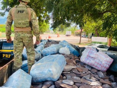Traficante é preso com mais de 600 kg de droga que levaria para SP