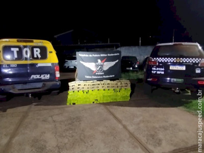 Polícia Rodoviária apreende carga de entorpecente em Mundo Novo