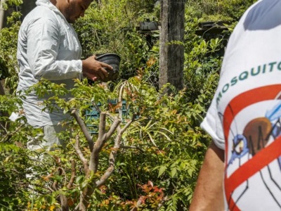 Paraná decreta situação de emergência em saúde por dengue