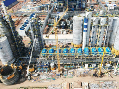 Estado tem espaço para mais três processadoras de celulose