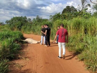 Morto a facadas foi degolado em Mundo Novo