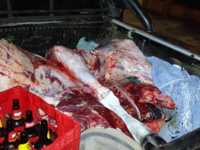 Polícia prende dupla transportando carne de gado furtada em caminhonete