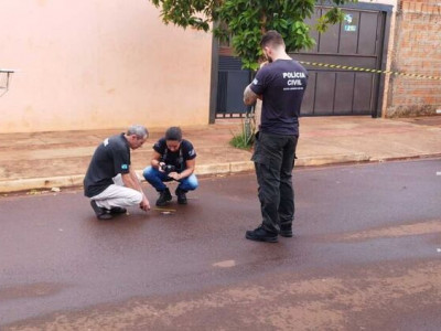 Feto encontrado em asfalto de Dourados é de animal, diz perícia