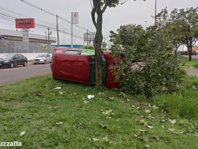 Motorista dorme ao volante, capota e bate em árvore na Avenida Cônsul Assaf Trad