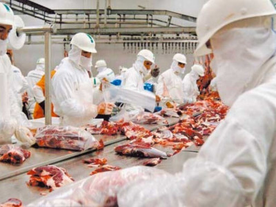 MS quintuplica a capacidade de exportação de carne para a China