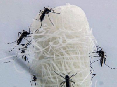 Brasil ultrapassa 5 milhões de casos prováveis de dengue