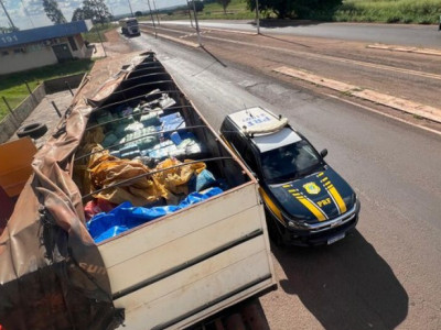 Polícia apreende 9,4 toneladas de maconha em Nova Andradina