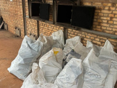 Polícia Civil realiza incineração de 500 kg de maconha em Juti