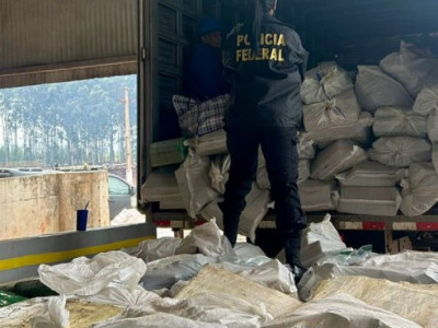 Polícia incinera quase seis toneladas de drogas na fronteira