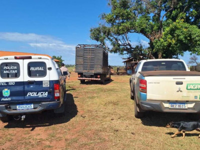 Veículo que transportava gado sem documentação é interceptado