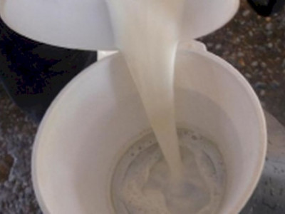 Campanha alerta sociedade sobre alergia alimentar