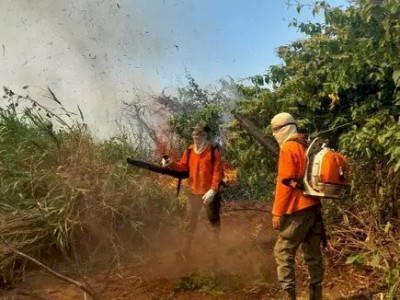 Cerca de 20 fazendas do Pantanal foram incendiadas em um mês