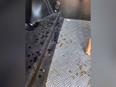 Homem é preso por abusar de cadela em Campo Grande