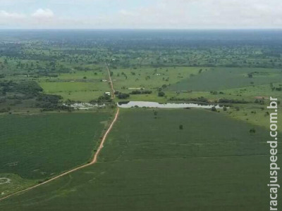 MS contrata temporários para se adequar à Lei do Pantanal