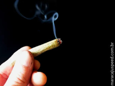 STF julga na terça a descriminalização do porte de maconha