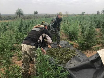 Agência antidrogas inicia 2ª fase de ações contra traficantes