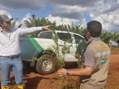 Concurso do Iagro segue com inscrições abertas em MS