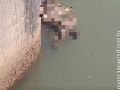 Homem encontrado morto em rio de MS era agricultor de Alagoas