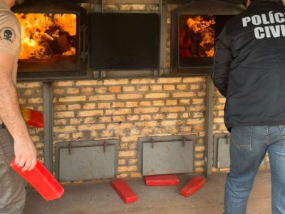 Meia tonelada de maconha é incinerada após apreensões