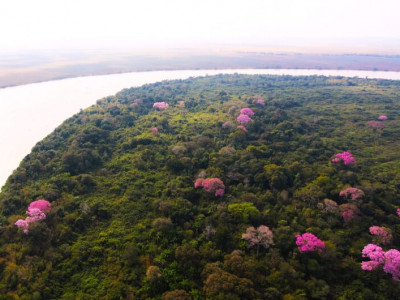 Pantanal Sul-mato-grossense se revela um gigante cheio de vida