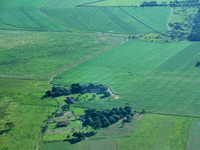 Apresentação de declaração do ITR inicia nesta segunda-feira (12)
