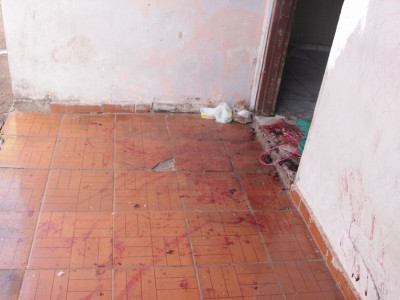 Assassinato de irmãos deixou rastro de sangue no Danúbio Azul 