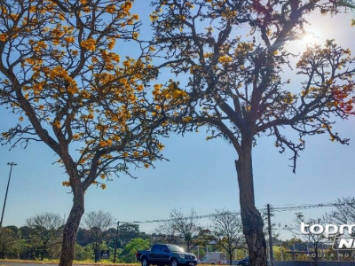 Calor permanece até quarta com temperaturas até 37°C em MS