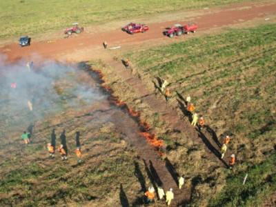 MS se destaca como pioneiro na implementação do Manejo do Fogo