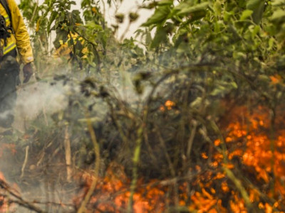 Brasil já registou mais de 154 mil focos de calor este ano